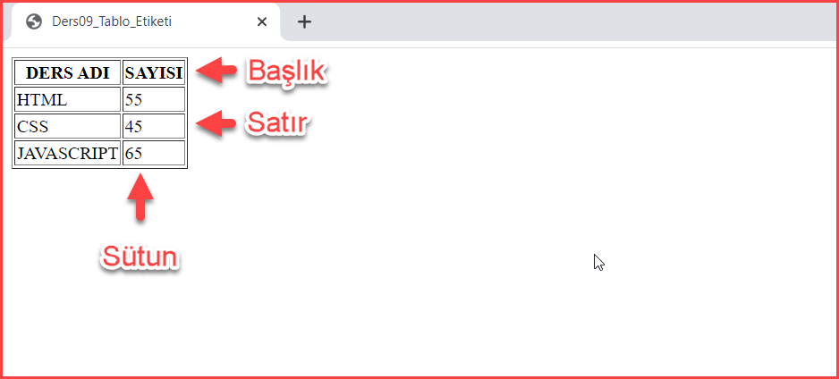 Görüntü Seviyesi