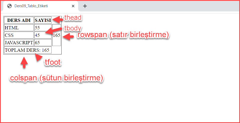Görüntü Seviyesi