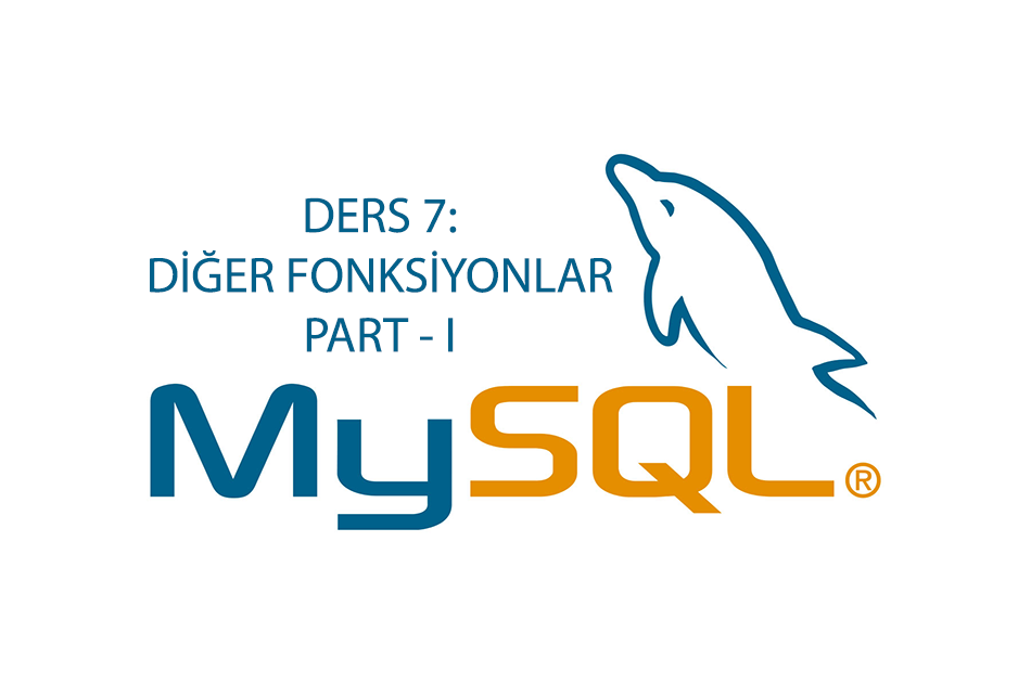 DİĞER FONKSİYONLAR